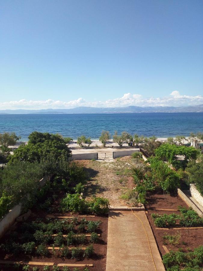 Apartments Zvonimir,Place By The Sea Mirce Екстериор снимка